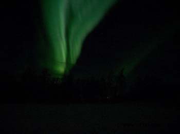 arctic light