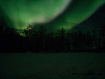 aurora above Sapmi