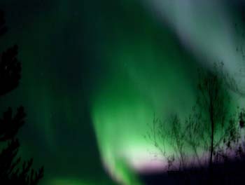 aurora borealis, northern light, guovssahas