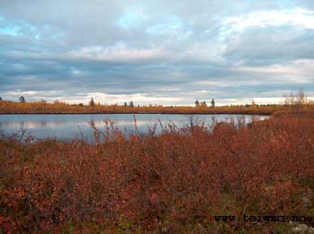 autumn landscape anarjohka national reservate1