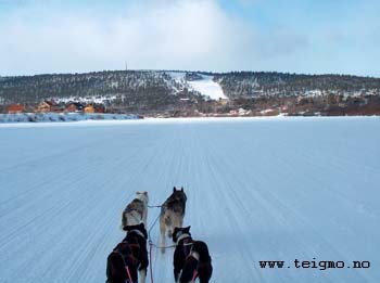 dogsled karasjohka2