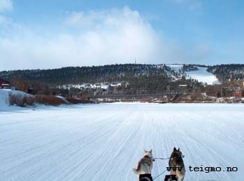 dogsled karasjohka3