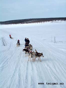 dogsledtours