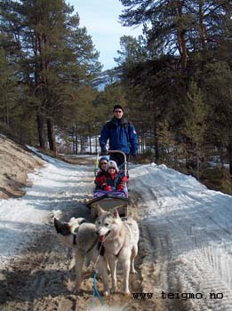 dogsledtrip