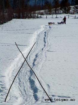 easy mushing