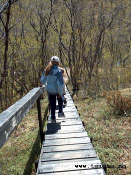 easy walking