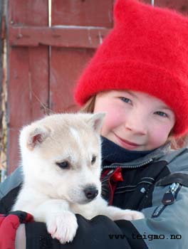 girl with puppy