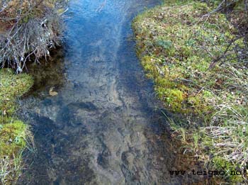 glassclear water1