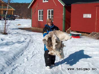 guest carrying reindeerhides