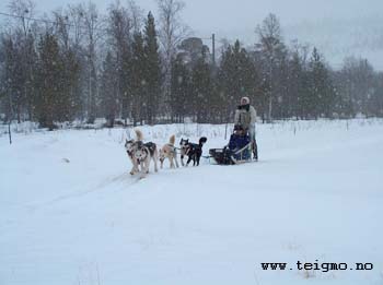 guests in snow