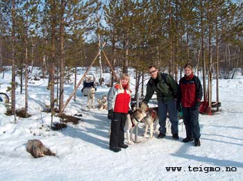 guests pet the dogs