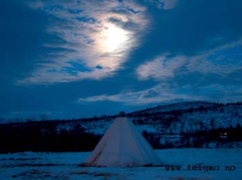 lavvu in moonlight