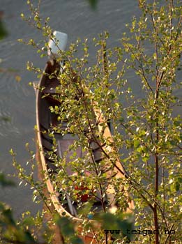 one of our riverboats