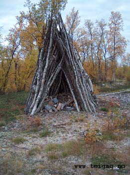 preserving wood for winter