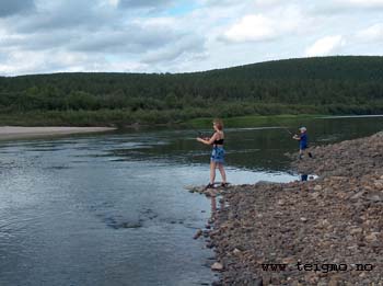 salmon karasjok