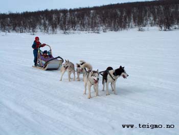 sleddogtour