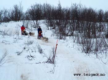 sleddogtours