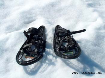 snowshoes