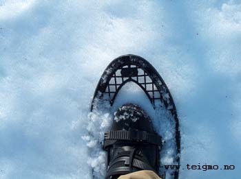 snowshoeing