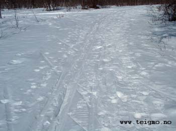 track quality finland