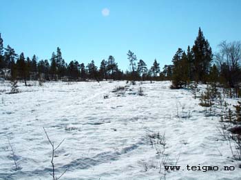 view exiting teigmo