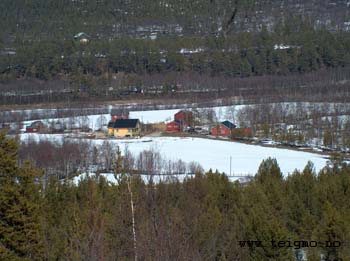 view teigmo