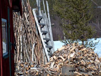 wood for sauna and stamppo