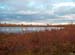 autumn landscape anarjohka national reservate1