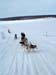 dogsledtours