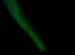 nordlys2